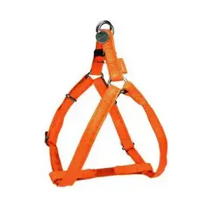 Adjustable Leather Dog Harness ZOLUX Mac Leather 10 mm — orange, durable strap
