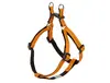 header-product