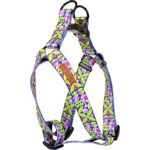 Leash with Adjustable Tape DINO IVO 20 mm Leaf Pattern, Length 40–60 cm