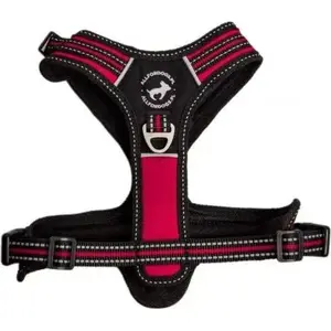 Dog Harness All For Dogs ALL FOR DOGS SZELKI 3x-SPORT Red Size L