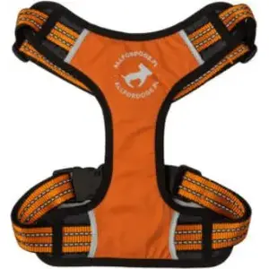 Dog harness All For Dogs Szelki sportowe orange size S (45–80 cm) – adjustable chest and neck straps