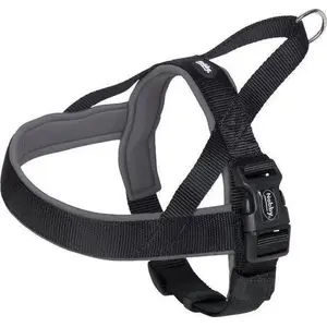 Sunsiks Nobby Classic Preno, izmērs L-XL 68–85 cm, melns