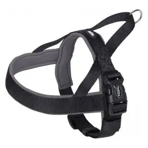Pet harness Nobby Classic Preno S-M, black, adjustable 38–50 cm, width 20/25 mm