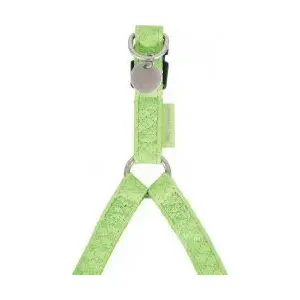 Adjustable Leather Dog Harness ZOLUX Mac Leather 10 mm — seledynowy (mint)