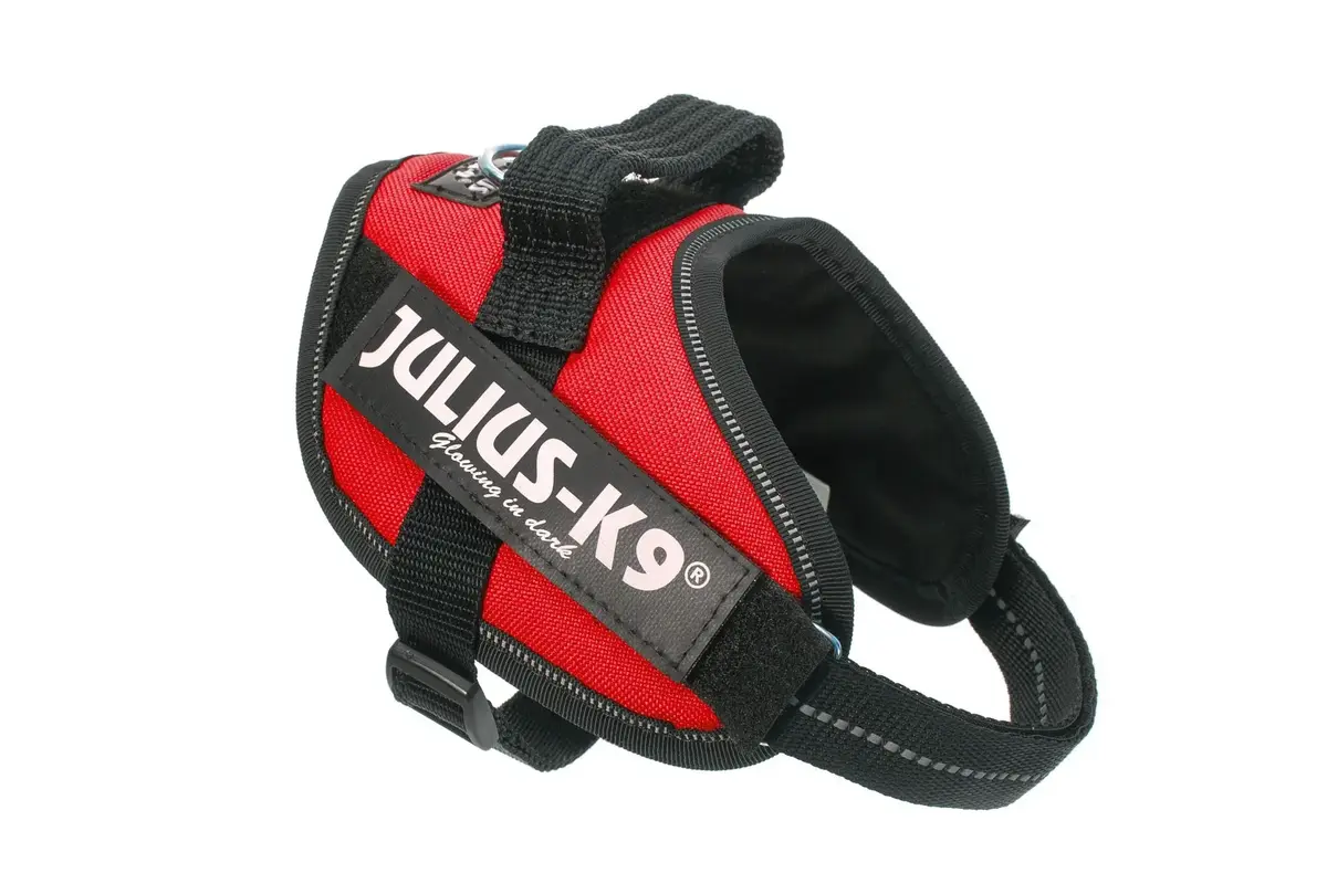Шлейка Trixie Julius-K9 IDC XL Photo 3
