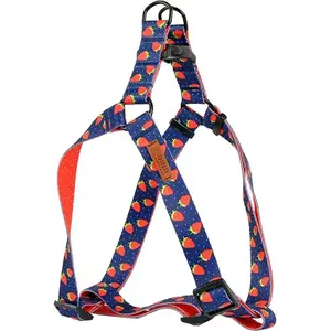 Leash with Adjustable Strap DINO IVO 25 mm Strawberry Pattern, Length 60–90 cm