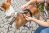 Panikas adapteris Stay priekš šļekām — Winhyepet Photo 9