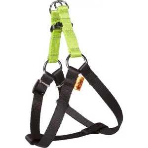 Pet collar DINGO Fred Energy size 60 cm width 1.6 cm green