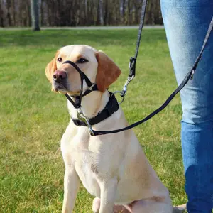 Training Harness Trixie Top Trainer L 31 cm for Dogs — Size L, 31 cm Chest/Neck Measurement