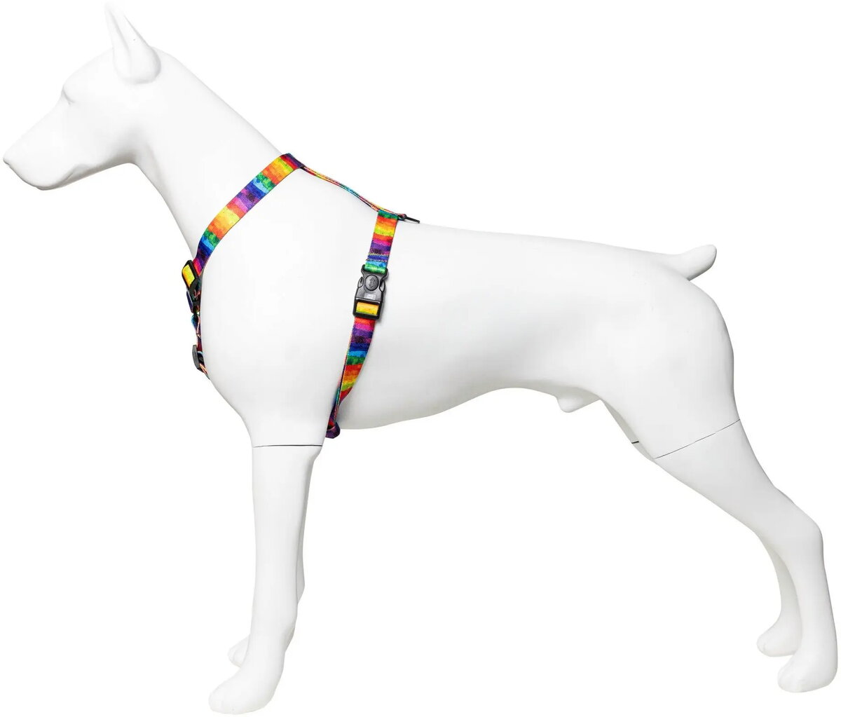 Pet Collars & Leashes
