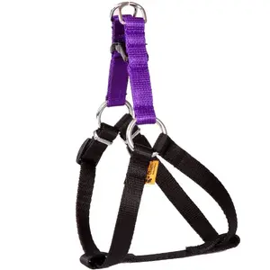 Pet collar DINGO Fred Energy size 60 cm width 1.6 cm purple (94635)