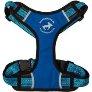 Dog Harness All For Dogs Szelki sportowe blue size S (45–80 cm) adjustable