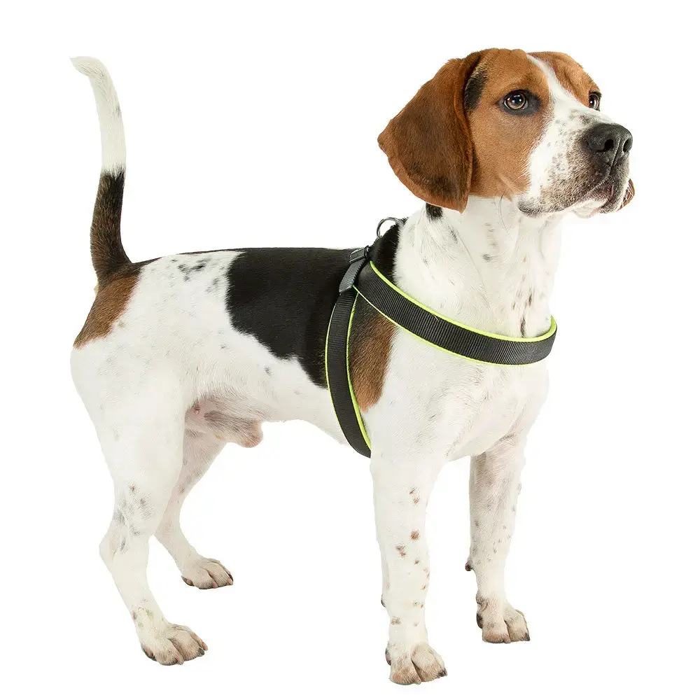 FERPLAST Agila Fluo vest harness Photo 3