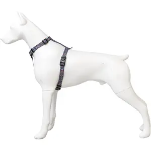 Dog harness strap Barry King Etniczny Mandala, 20 mm width, adjustable 50–80 cm