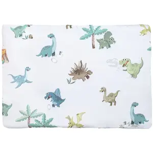 Kokvilnas spilvens Pulp 40x60 cm ar krāsainiem dinozauriem — Pulp PUL000388