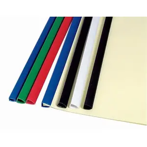Argo standard 15 mm transparent push-in skirting strip, model 419150