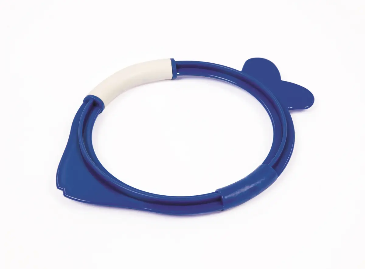 Bestway Dive Fishrings надувные рыбки для ныряния Photo 4