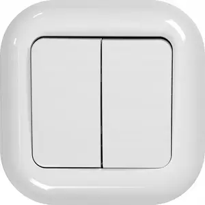 MONTIS installation candle switch WP-2F EXTENSA MT055SW — electrical wall-mounted connector for lighting circuits