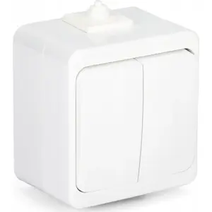 Switch MONTIS WNT-2S 10A 250V — installation candle-style, surface-mounted
