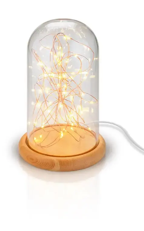GOOBAY Glass Bell with 50 Micro LEDs Photo 3