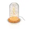GOOBAY Glass Bell with 50 Micro LEDs Photo 3