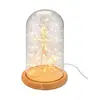 GOOBAY Glass Bell with 50 Micro LEDs Photo 4