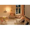 Настольная лампа Paulmann 79601 E27 Photo 2