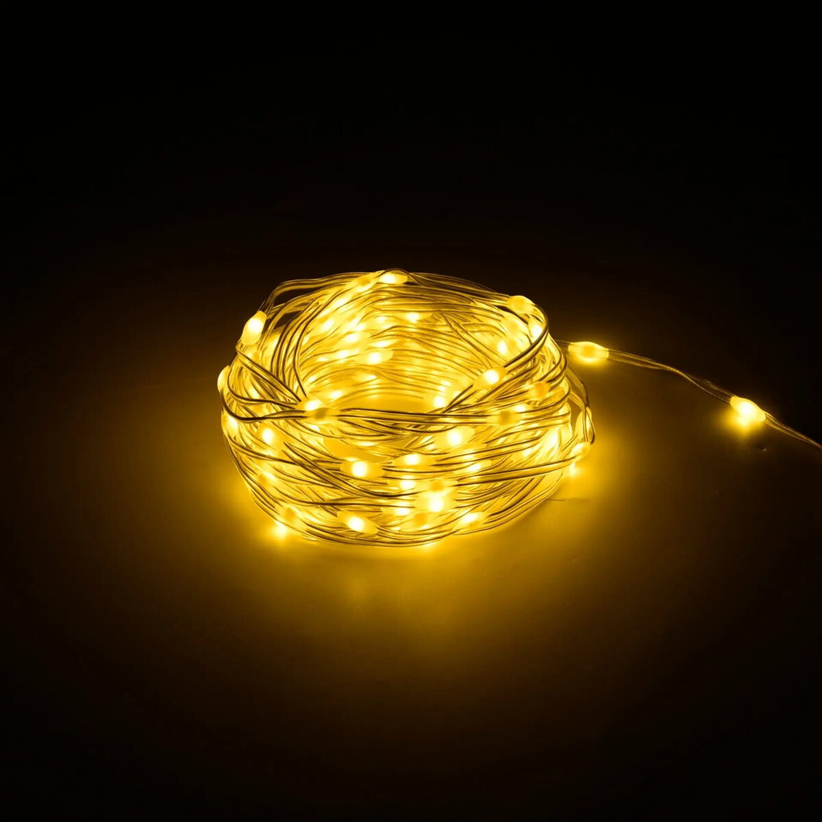 Holiday & Decorative Lighting