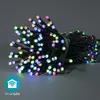 Light decoration chain Nedis WIFILX01C84 Photo 2