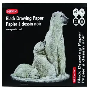 Zīmēšanas papīra bloks Clairefontaine Derwent Black A3 200 g/m² 20 lapas