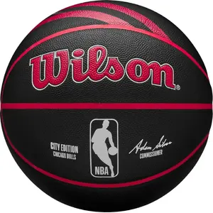 Мяч баскетбольный Wilson NBA Team City Collector Chicago Bulls In/Out WZ4024105XB размер 7 чёрный