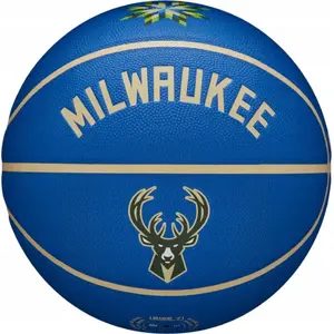 Мяч для баскетбола Wilson NBA Team City Collector Milwaukee Bucks WZ4016417ID размер 7 синий