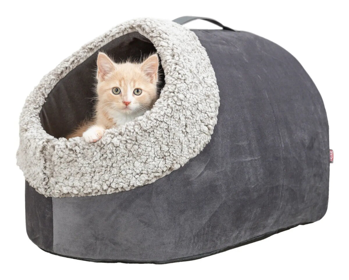 Pet Accessories
