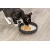 Trixie влажный корм для кошек 80 г Photo 4