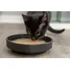Trixie влажный корм для кошек 80 г Photo 5