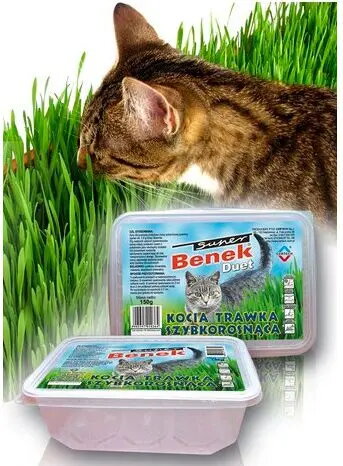 Cat Food
