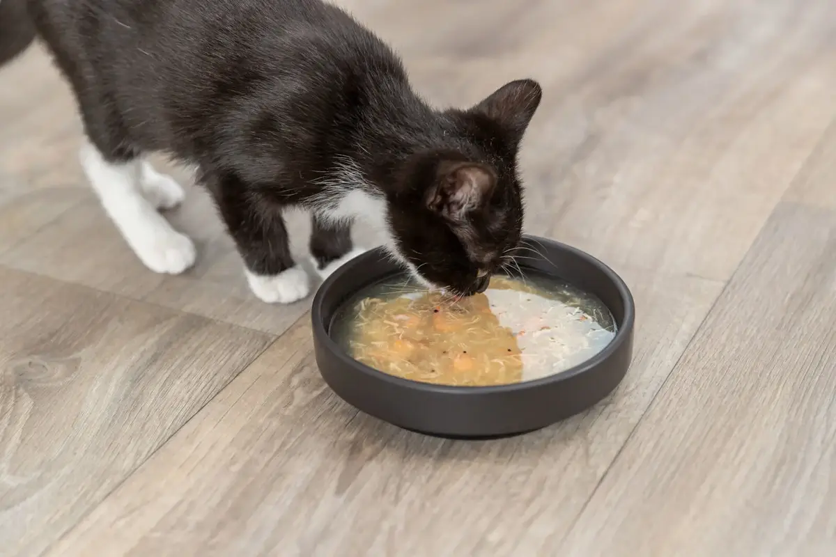 Trixie cat wet food can TX-42692 Photo 3