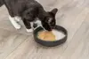 Trixie cat wet food can TX-42692 Photo 3