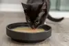 Trixie cat wet food can TX-42692 Photo 4