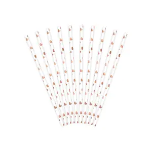 Disposable paper drinking straws PartyDeco SPP7M-019RJ — Rose gold and White, 195 mm, 10 pcs