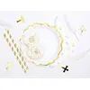 Plate PartyDeco TPP30-008 — disposable 18.5 cm Photo 6