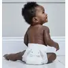 Подгузники на липучках Kit and Kin KKS6NAPPIESDP Photo 5