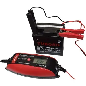 Battery Charger / Digital Trickle Charger No name 6V/12V 1.2–120Ah universal