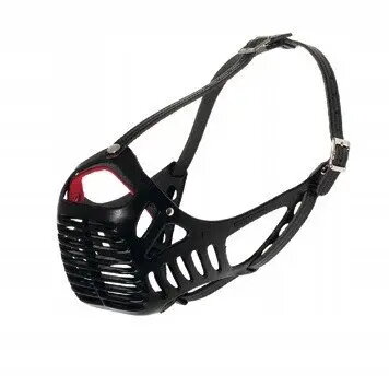 Pet Accessories