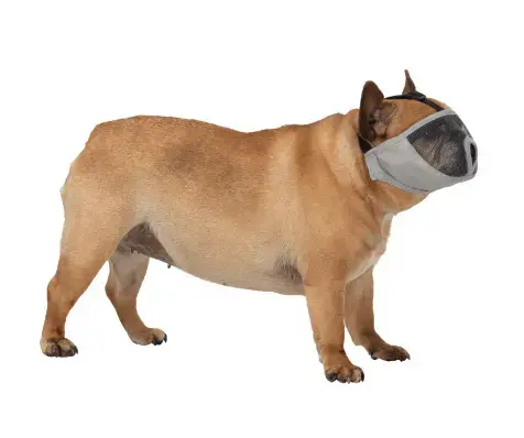 Basket muzzle Trixie TRIXIE 17627 S/M Photo 2