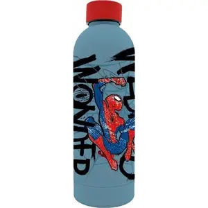 Stainless Steel Kids Water Bottle Kids Euroswan 500 ml with 3D Spiderman Print