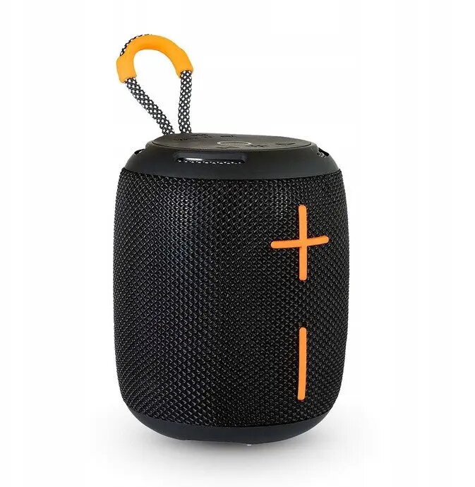 Portable Speakers