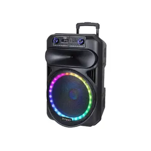 Portable speaker Trevi XF 1560 KB Black — 15" woofer, 120 W RMS, 4 Ω, wired & wireless, MicroSD, LED display