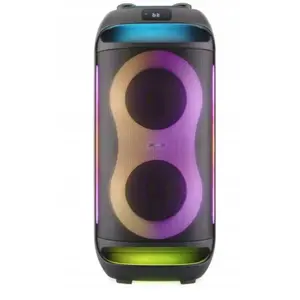 Portable Bluetooth Karaoke Speaker No name BPS 696 with wired microphone