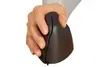BakkerElkhuizen Evoluent Mouse Standard правая Photo 4